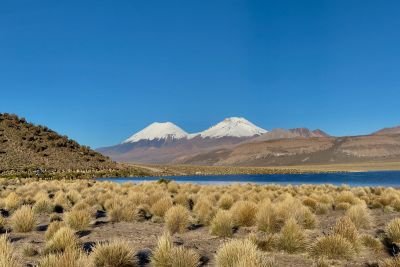 Jour 17:  Geysers de Junthuma - Lagunes et stratovolcan Pomerape - Sources thermales - Tomarapi (4250 m)