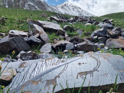 Les pétroglyphes , ici de bouqetins à l'impressionnant site de Saymuluu Tash