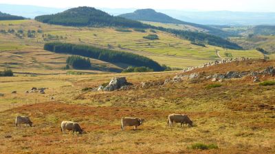 Jour 3- Rencontre à la chèvrerie. Haute vallée de la Saliouse / géosite Unesco.