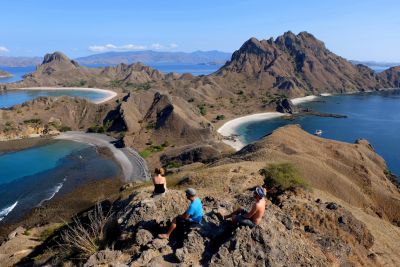 © Terres Oubliées - Dragon de komodo Dragon de komodo