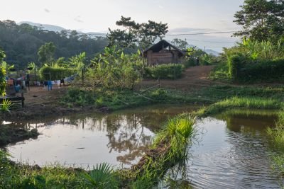 © Julien Defourny - Les ambiances au village Shuar Les ambiances au village Shuar