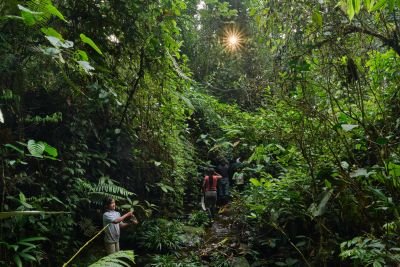 © Julien Defourny - La jungle tropicale de la Cordillère du Condor La jungle tropicale de la Cordillère du Condor