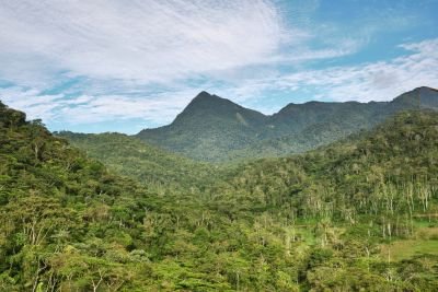 © Julien Defourny - Les paysages de la Cordillère Les paysages de la Cordillère
