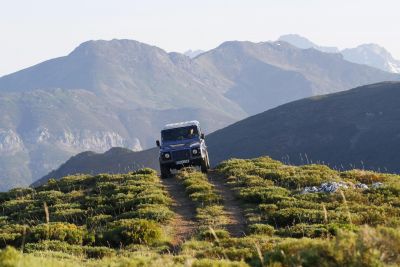 Jour 5 : dernier affût et retour sur Biarritz.