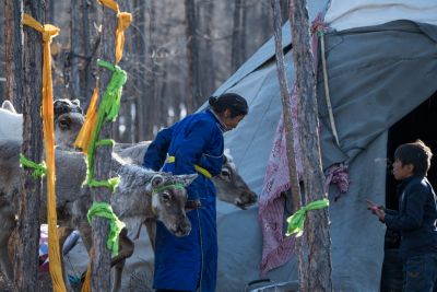 © Terres Oubliées - Campement Tsaatan Campement Tsaatan