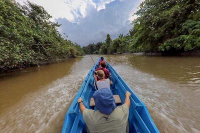 © Ony - pirogue dans la jungle de Siberut pirogue dans la jungle de Siberut