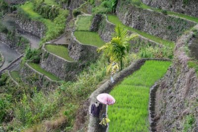 Jour 3 : Route vers Banaue