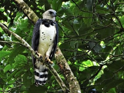 JOUR 5 – NAVIGATION EN PLEIN CŒUR DU PARC