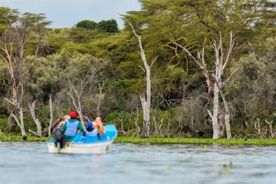 Jour 8 : Lac Naivasha – Réserve de Maasaï Mara.