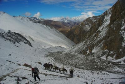 © Terres Oubliées - Jour 26 : De Niwar Phedi à Golchan Khola (4440m) Jour 26 : De Niwar Phedi à Golchan Khola (4440m)