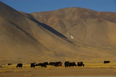 © Luis AZUA - Jour 10 : fin de la Khora du lac Manasarovar de Trugo Gompa à Chiu Gompa, nuit à Tirthapuri Jour 10 : fin de la Khora du lac Manasarovar de Trugo Gompa à Chiu Gompa, nuit à Tirthapuri