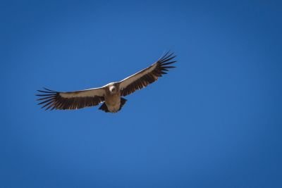 Jour 1. Départ de France pour le Népal