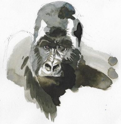 © Adeline Terpo - Jour 5 : randonnée communautaire ou farniente ? Jour 5 : randonnée communautaire ou farniente ?