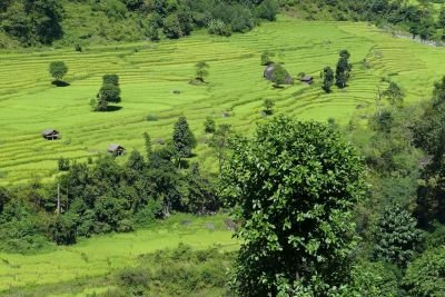 © Alexandre Ulcakar - Jour 3. Vol Kathmandu – Bhadrapur - Phidim Jour 3. Vol Kathmandu – Bhadrapur - Phidim