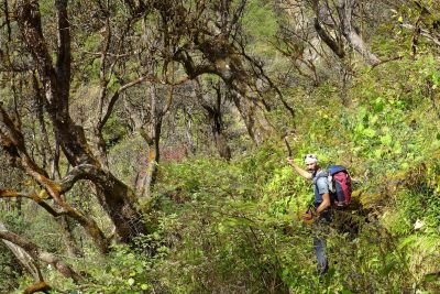 © Alexandre Ulcakar - Jour 15. Langjong Kharka à Olangchungola (3270m) Jour 15. Langjong Kharka à Olangchungola (3270m)