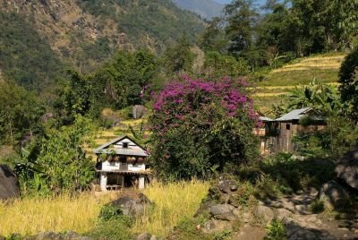 © Terres Oubliées - Jour 18. Samjung à Lumba Samba Phedi (4660m) Jour 18. Samjung à Lumba Samba Phedi (4660m)