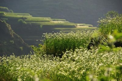 © Alexandre Ulcakar - Jour 21. Thudam à Yak Kharka (2760m) Jour 21. Thudam à Yak Kharka (2760m)