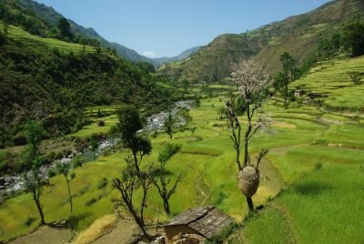 © Alexandre Ulcakar - Jour 24. Namse à Tumlingtar Jour 24. Namse à Tumlingtar