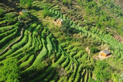 © Alexandre Ulcakar - Jour 25. Vol Tumlingtar –Kathmandu Jour 25. Vol Tumlingtar –Kathmandu