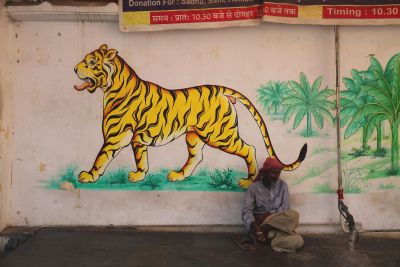 Jour 15 : route vers Delhi.