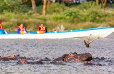Jour 8 : Naivasha - Amboseli