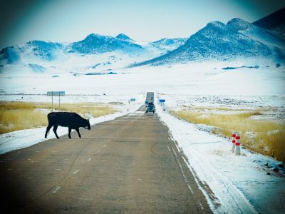 Sur la route, direction le Gobi