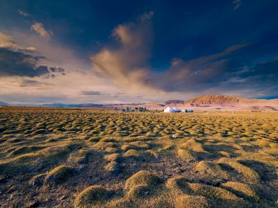 De retour dans la steppe