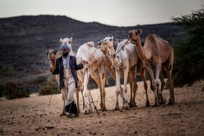 Jour 6 : Erg Malichigdane – Montagne de Lemdeina