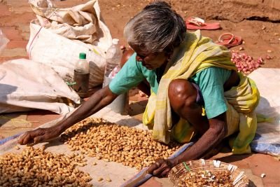 Jour 7 : Arrivée dans la région du Chettinad
