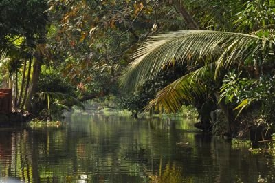 Jour 13 : Découverte de Cochin