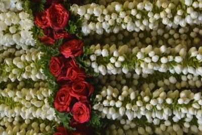 Jour 16 : Ville princière de Mysore