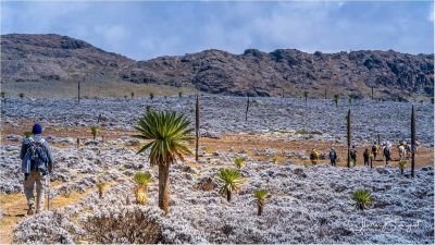 EXTENSION DANS LES MONTAGNES DU BALE