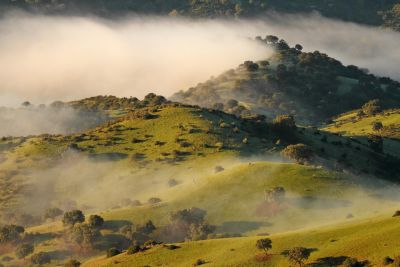 © Laurent Cocherel - Jour 4 : En exploration à la rencontre des loups et des ours Jour 4 : En exploration à la rencontre des loups et des ours