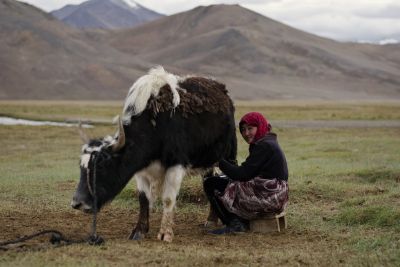 © Terres oubliées - Fin de l'aventure en terre pamiri Fin de l'aventure en terre pamiri