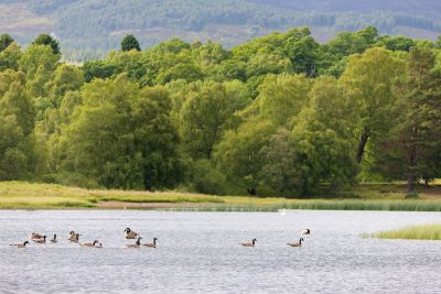 Loch Insh