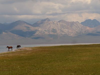 © Matthieu Libeer - Vhevaux s'abreuvant au lac Song Kul Vhevaux s'abreuvant au lac Song Kul