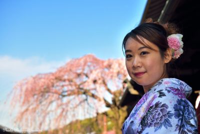 Jour 14 : Retour à Tokyo