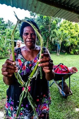 Jour 22 : Visite du musée du Père Rodet, repas au marché traditionnel et Vol pour Brisbane puis Hong Kong