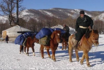 © Terres oubliées - Les chevaux nous accompagnent pour le portage de la yourte mobile Les chevaux nous accompagnent pour le portage de la yourte mobile