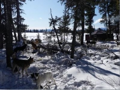 © Terres oubliées - Notre campement au niveau des trois lacs Notre campement au niveau des trois lacs