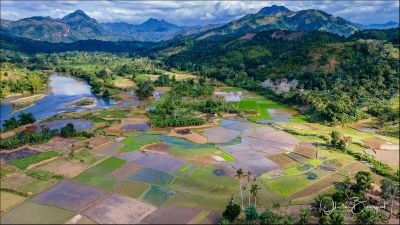 Parc National Marojejy