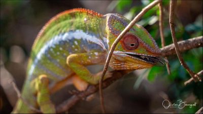 Jour 7 : Sambava - Daraina