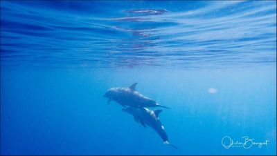 Jour 18 : Journée Nosy  Tanikely et Nosy  Sakatia