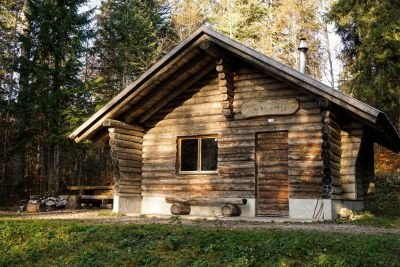 Jour 3 : Pistage en forêt et écoute des chants sauvages au crépuscule
