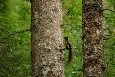 Jour 4 : Dernière traversée des secrets dévoilés et retour aux sources