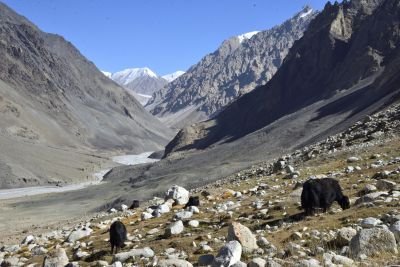 Jour 12 - Trek jusqu’à Mai Dhur