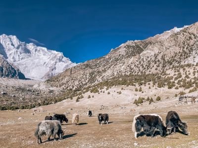 Jour 13 - Passage du col de Shpodeen