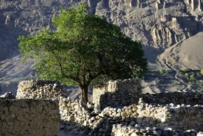 Jour 14 - Trek jusqu’à Zarthghar Ben