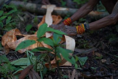 Jours 5, 6 et 7 : Immersion dans la jungle Mentawai