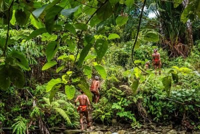 Jour 4 : Journée de randonnée dans la jungle